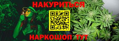 гидра Малоярославец
