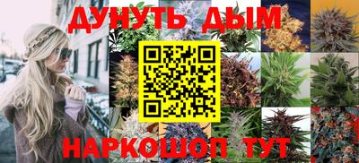 гидра Малоярославец