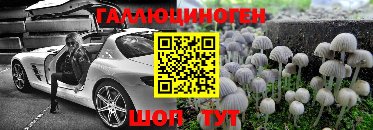 Псилоцибиновые грибы мицелий  Псилоцибиновые грибы мухоморы  Учалы  закладки  Вход с VPN 
